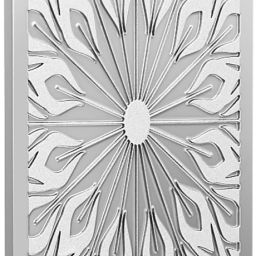 Peacock D-DWS S 999 50 g Silver Bar-image-34