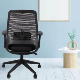 newturn Ultra Ergonomic Mesh with Spine & Handle adjustment & 2 yrs parts Repl.wrty Nylon Office Executive Chair image 3