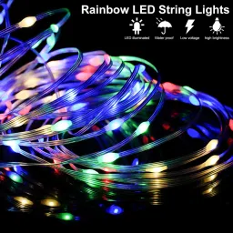 Rasta 5Meter USB Controlled with Remote image 4