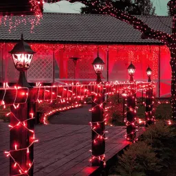 pesca 40 LEDs 11 m Red Steady String Rice Lights image 5