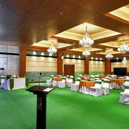 F & B RUGS Green Anti-Skid Outdoor Carpet-image-86