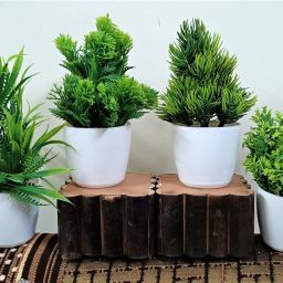 Unique Decoration Combo Of 4 Different Design(H~15 Cm) Bonsai Wild Artificial Plantwith Pot-13