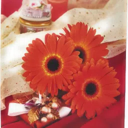 ALBUM_2428 Album-image-45