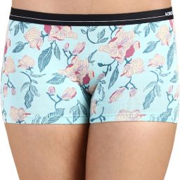 Women Boy Short Light Blue Panty-image-11