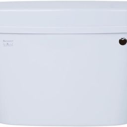 parryware E83751C Single Flush Tank-picture-5
