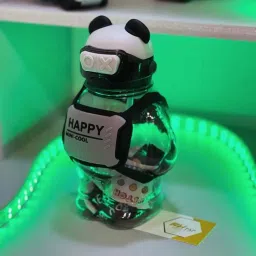 Panda 800 ml Water Bottle-image-27