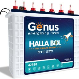 genus GTT-270 Tubular Inverter Battery-picture-28
