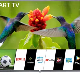 All-in-One 108 cm (43 inch) Full HD LED Smart WebOS TV-23