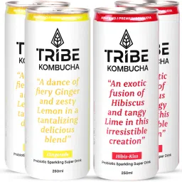 Kombucha Naturally Sparkling Probiotic Drink|Gut Friendly|Gluten free|Digestion Gingerade+Hibiscus Drink-image-10