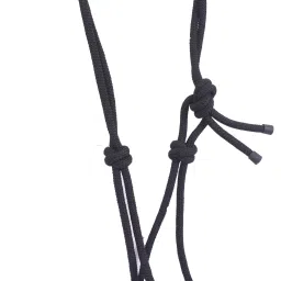 Horse Lead-image-78