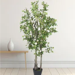Arick Decor 51 Inch Artificial Real Touch Camellia Rose Plants With Black Pot-picture-28
