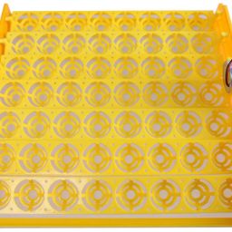 fully Automatic 56 Egg Incubator 220V& 12V dual power auto turn Egg Incubator-image-63