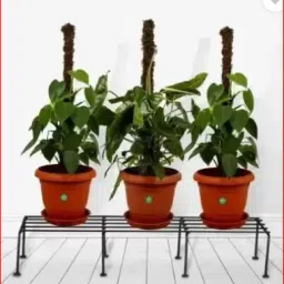 sunwati SET OF 4 PLANTER STAND Plant Container Set Plant Container Set image 2