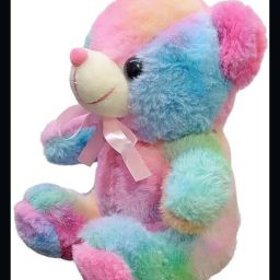 Rainbow Soft Toy Teddy Bear For Kids_NEW1 - 25 cm-image-46