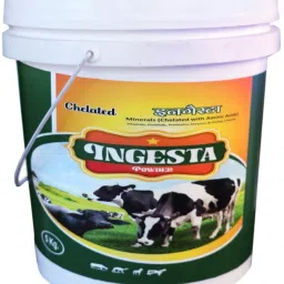 Mineral Mixture Pet Health Supplements (5 kg) Pet Health Supplements-12