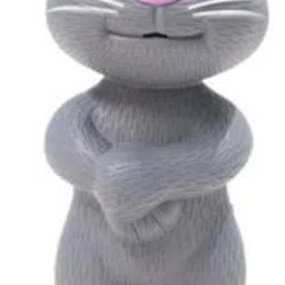 Talking Tom Cat-image-29