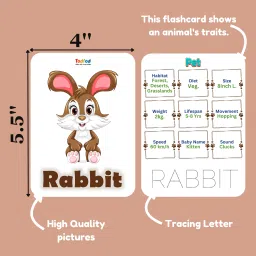 todfod Re-writable Smart Knowledge Flash Cards with Pen for Tracing Activity image 2