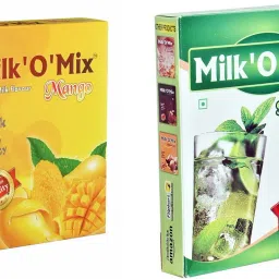 Juice Mix Powder Mango and Shikanji Masla - (150gx2)-image-9