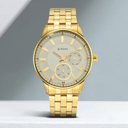 Regalia opulent II Analog Watch - For Men NT9441YM02-image-47