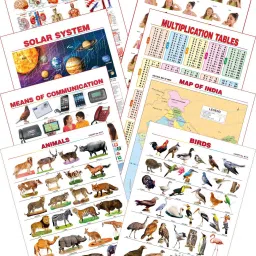 Kid's 1st Learning Charts [S] : Set 30 (Human Anatomy, Parts of the Body, Solar System, Multiplication Tables, Map of India, Animals, Birds & Communications)-18
