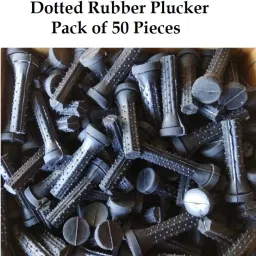 Dotted Defeathering Chicken Cleaning Machine Rubber Plucker (Pack of 50 Nos) Sponge Rolling Meat Tenderizer-15