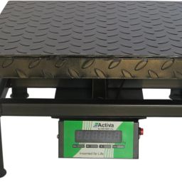 ACTIVA 50kg weighing scale|Double display weight machine for shop|MS 5gram Weighing Weighing Scale-12