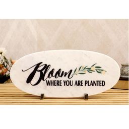 POSH-N-PLUSH Black & White Bloom Printed Marble Showpiece-image-67