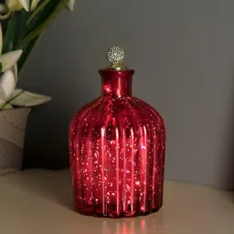 Homesake Red Bottle Copper String Light Showpiece-44