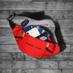 Worldstar Waist Bag Style Travel Pouch Passport Holder with Adjustable Strap belt bag Waist Bag-image-87