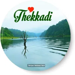 Thekkadi I Periyar National Park I Fridge Magnet Pack of 1-image-67