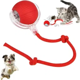 Smart LED 360° Rotating Cat Toy Ball Cat Dancing Ball Pet Rolling Ball Plastic, Rubber Ball For Dog & Cat-73