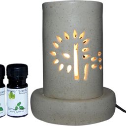Lemongrass Diffuser Set-1