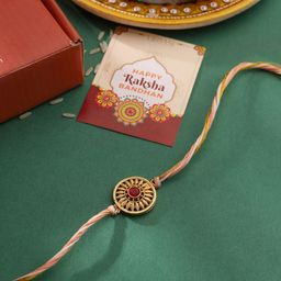 VIRAASI Rakhi With Jade Plant Gift Set-image-51