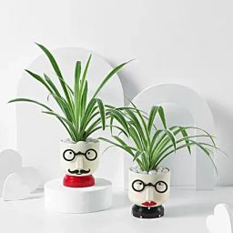 Soulful Spider Planters-image-61