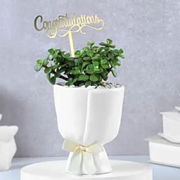 Lush Jade Prosperity Congratulatory Planter-image-24