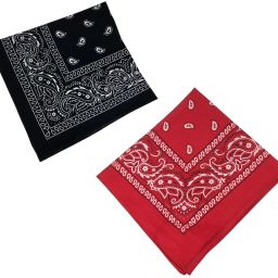 Men, Women, Boys, Girls Printed Bandana-image-17