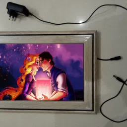 , CINDERELLA MODAL NO-31 , 15.5 inch LED PHOTO FRAME-image-58