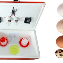 100 Egg Capacity Semi, Egg Incubator with 1 feeder 1 drinker, Egg Incubator-17