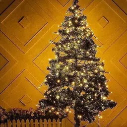 flipkart smartbuy 40 LEDs 11 m Yellow Flickering String Rice Lights image 4