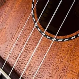 pennycreek 24" Ukulele With Bag Tuner Capo & String Set Ukulele For Beginners Adults Kids Concert Ukulele image 3