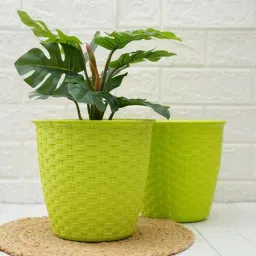 gold dust Green Plastic (Set of 2) Desk Pots-picture-30