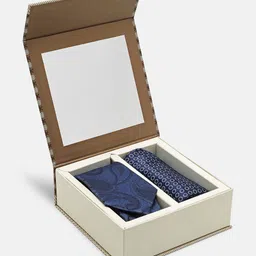 Blackberrys Men Printed Skinny Tie-image-41