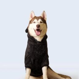 Sweater for Cat, Dog-image-27