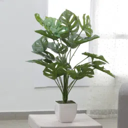 Plastic Lauren Green Miniature Silk Floor Artifical Monastery Plants Without Pot by Arick Decor-picture-38