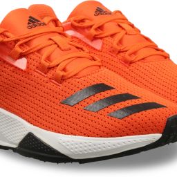 SPRI-RUN 1.0 M Running Shoes For Men-image-47