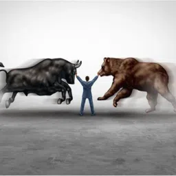 Artefact Bull vs Bear Mouse Pad FKMP00269 Mousepad-10