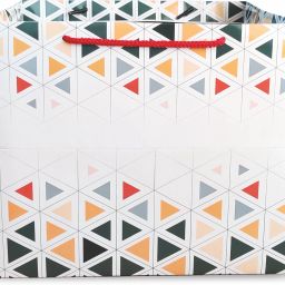Printed Party Bag-51