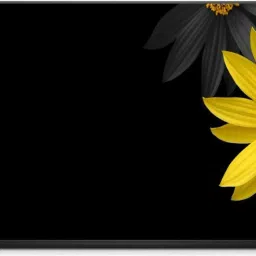 Anweshas Printed on 3M Vinyl, Premium Quality, HD, UV Printed, Laminated, Bubble Free, Scratchproof, Washable, Easy to Install Laptop Skin/Sticker/Vinyl/Cover for 13.1, 13.3, 14.1, 14.4, 15.1, 15.6 inches (SunFlower) vinyl Laptop Decal 15.6-17