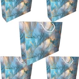 Printed Party Bag-22