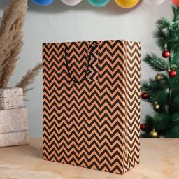 Printed Party Bag-10